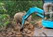 Apresiasi, Karyawan PT. Arara Abadi dan Masyarakat Peduli Gajah Desa Lubuk Umbut Selamatkan Seekor Anak Gajah